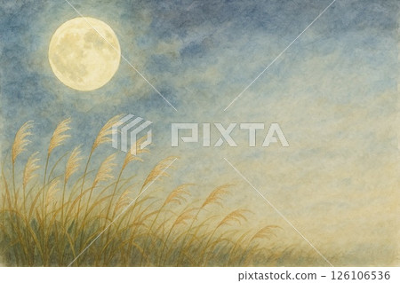 A field of silver grass illuminated by the full moon 126106536
