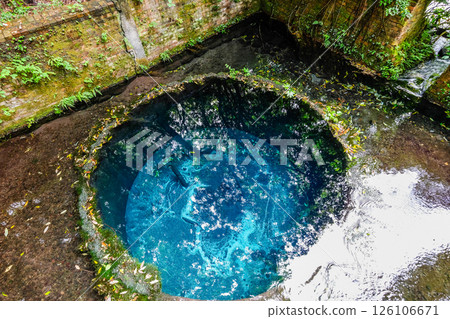 Kakita River springs in Mishima City, Shizuoka Prefecture Kakita River springs in Mishima City, Shizuoka Prefecture 126106671