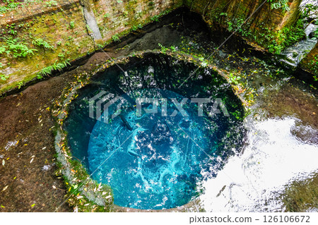 Kakita River springs in Mishima City, Shizuoka Prefecture Kakita River springs in Mishima City, Shizuoka Prefecture 126106672