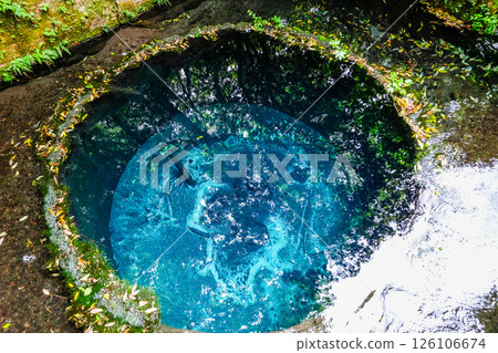 Kakita River springs in Mishima City, Shizuoka Prefecture 126106674