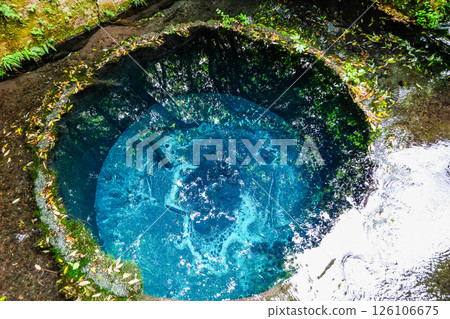 Kakita River springs in Mishima City, Shizuoka Prefecture 126106675