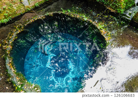 Kakita River springs in Mishima City, Shizuoka Prefecture 126106683
