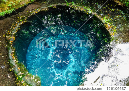 靜岡縣三島市的柿田川泉源 126106687