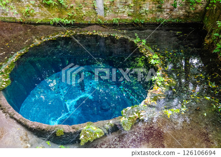 Kakita River springs in Mishima City, Shizuoka Prefecture 126106694