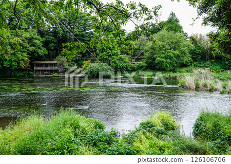 靜岡縣三島市的柿田川泉源 126106706