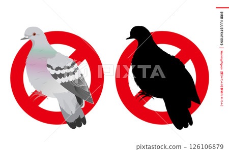 Wild bird silhouettes and realistic color vector illustrations of pigeons, rock pigeons, etc. 126106879