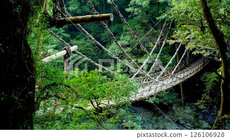 The Iya Kazura Bridge, made of woven vines, spans the Iya River in the secluded Iya region of Miyoshi City, Tokushima Prefecture. 126106928