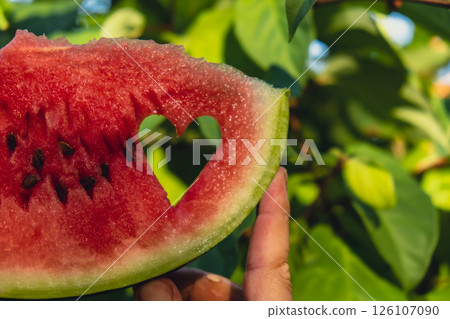 Fresh juicy red watermelon heart shaped slice in hands on background of outdoor garden in summertime during sunset. Concept of love happiness summer holidays and vacation. Slow-living Fresh juicy red watermelon heart shaped slice in hands on background of outdoor garden in summertime during sunset. Concept of love happiness summer holidays and vacation. Slow-living 126107090