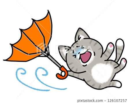Cat affected by typhoon 126107257