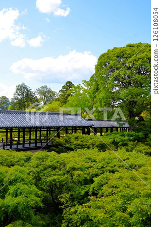 Tofukuji Tsutenbashi 126108054