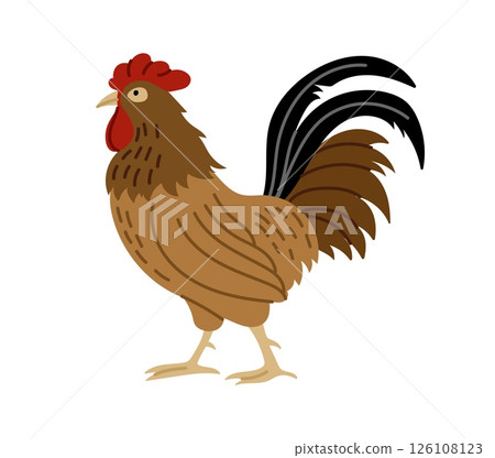 Rooster farm animal standing proudly with raised head and feathered tail. Cartoon flat vector domestic bird poultry farm personage with brown feathers, red comb, beige legs and black tail plumes 126108123