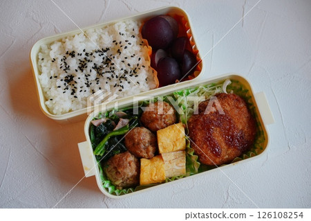 Lunch box for a fifth grade girl on a school trip 126108254