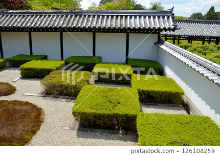 東福寺本堂庭園（西庭） 126108259