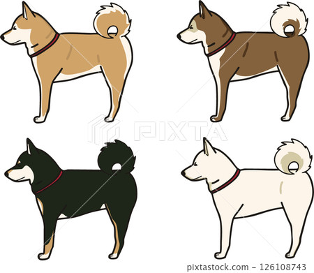 一隻可愛的柴犬側面彩色插圖 一隻可愛的柴犬側面彩色插圖 126108743