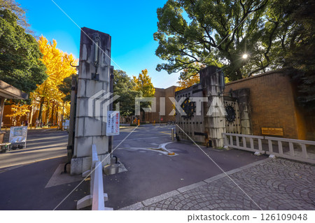 Autumn Scenery Featuring Iron Gate and Golden Trees, Tokyo Dec 7 2024 Autumn Scenery Featuring Iron Gate and Golden Trees, Tokyo Dec 7 2024 126109048