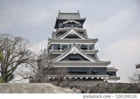 March 24 2025 Traditional Japanese Architecture of a Historic Castle Against, Japan 126109110