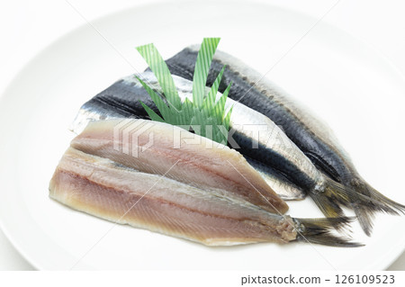 Sardine fillet on white background Sardine fillet on white background 126109523