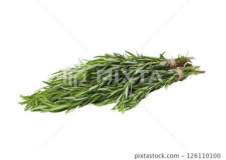 PNG, Rosemary, seasoning, isolated on white background PNG, Rosemary, seasoning, isolated on white background 126110100