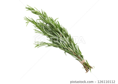 PNG, Rosemary, seasoning, isolated on white background 126110112
