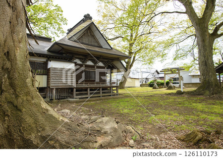 秋田縣大櫸樹和新山神社 126110173