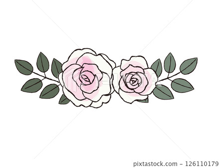 Two pink rose flowers Two pink rose flowers 126110179