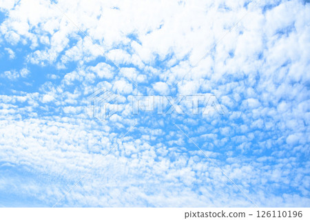 藍天白雲 126110196