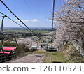 Ropeway running along the cherry blossom-lined street 126110523