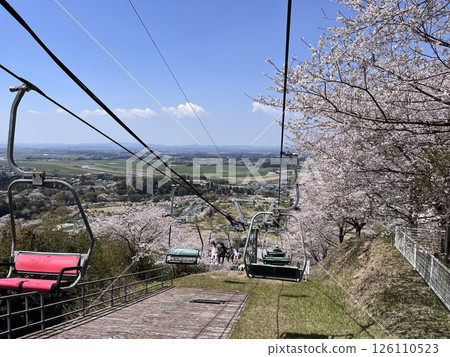 Ropeway running along the cherry blossom-lined street 126110523