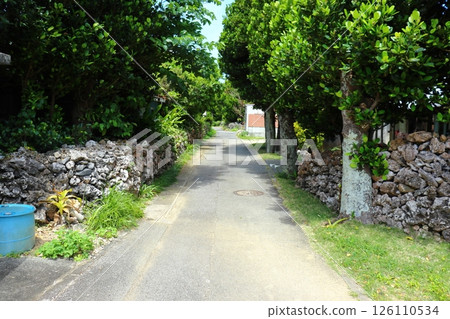 沖繩縣八重山群島（波照間島）的道路和房屋的石牆 126110534