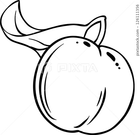 Peach Fruit Outline Illustration. 126111356