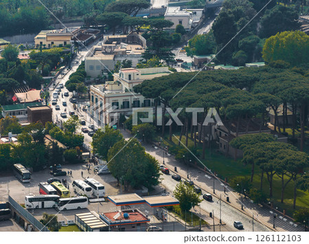 Aerial view of Pompei, Italy, showing a classical building, lush trees, tall pines, vehicles on streets, and a mix of urban and green spaces. 126112103