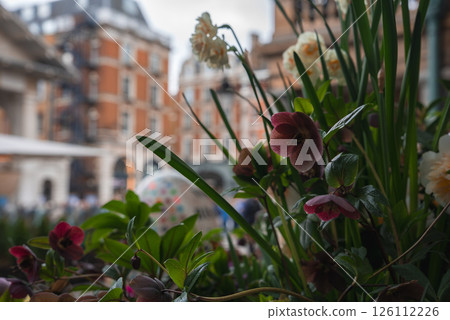 A colorful floral arrangement in the foreground contrasts with red brick buildings and arched windows in a lively urban London setting. 126112226