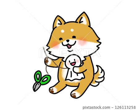 A Shiba Inu making a Teru Teru Bouzu A Shiba Inu making a Teru Teru Bouzu 126113258