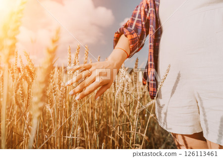 Woman wheat field. Agronomist, Woman farmer check golden ripe barley spikes in cultivated field. Closeup of female hand on plantation in agricultural crop management concept. Slow motion Woman wheat field. Agronomist, Woman farmer check golden ripe barley spikes in cultivated field. Closeup of female hand on plantation in agricultural crop management concept. Slow motion 126113461