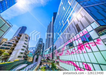 Tokyo cityscape in Japan, overlooking Shibuya Sakura Stage SHIBUYA Tower, Cerulean Tower Tokyu Hotel, etc. 126113490