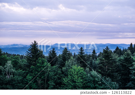 Distant mountain range with layered hills and dense forest in the foreground under a moody sky at dusk. Wilderness preservation, forest ecosystems, natural heritage, remote landscapes.. 126113822