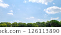 Summer blue sky and white clouds, fresh green trees 126113890
