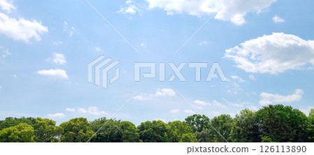 Summer blue sky and white clouds, fresh green trees 126113890