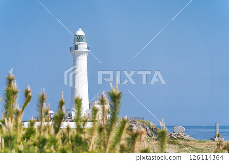 "Aomori Prefecture" The white Shiriyazaki Lighthouse, located at the edge of Honshu, Shimokita Peninsula 126114364