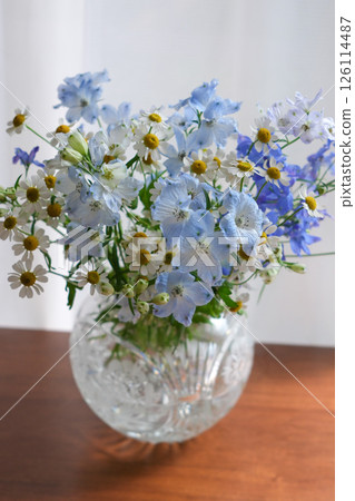 Blue and white flowers in a vase 126114487