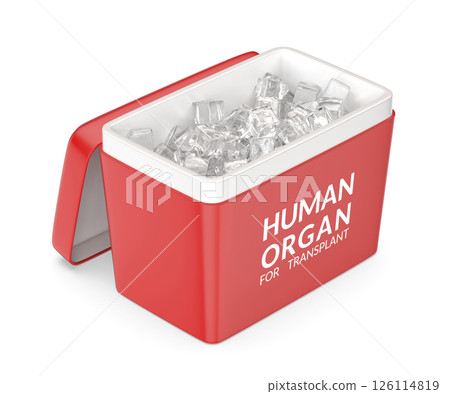 Human organ transport box 126114819