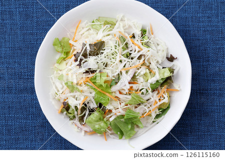 vegetable salad	 126115160