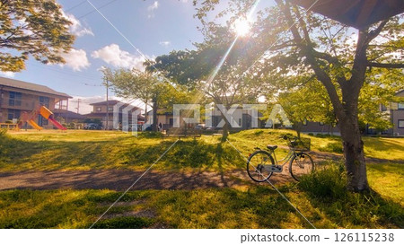 我最喜歡的公園裡熟悉的景色 我最喜歡的公園裡熟悉的景色 126115238