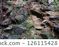 Rock and earth wall 126115428
