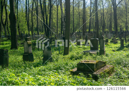 Old jewish cemetery in the spring forest. 126115566