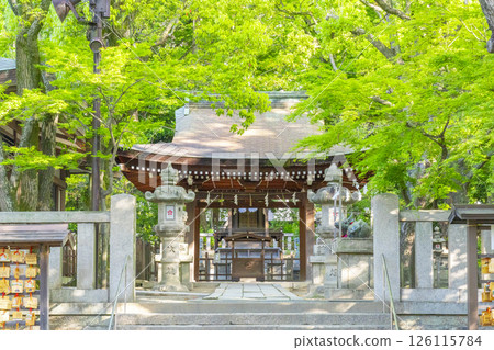 湊川神社 菊水天滿宮(兵庫縣神戶市) 湊川神社 菊水天滿宮(兵庫縣神戶市) 126115784