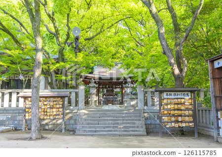 湊川神社 菊水天滿宮(兵庫縣神戶市) 湊川神社 菊水天滿宮(兵庫縣神戶市) 126115785