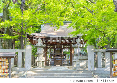 Minatogawa Shrine, Kikusui Tenmangu Shrine (Kobe City, Hyogo Prefecture) Minatogawa Shrine, Kikusui Tenmangu Shrine (Kobe City, Hyogo Prefecture) 126115786