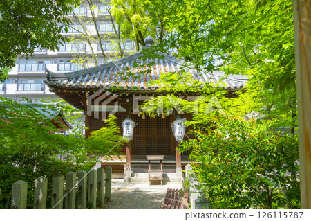 Kumagaya Shrine: Tamurado (ancestral shrine) surrounded by fresh greenery Kumagaya Shrine: Tamurado (ancestral shrine) surrounded by fresh greenery 126115787