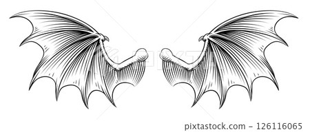 Bat Dragon Devil Demon Vampire Wings Illustration 126116065